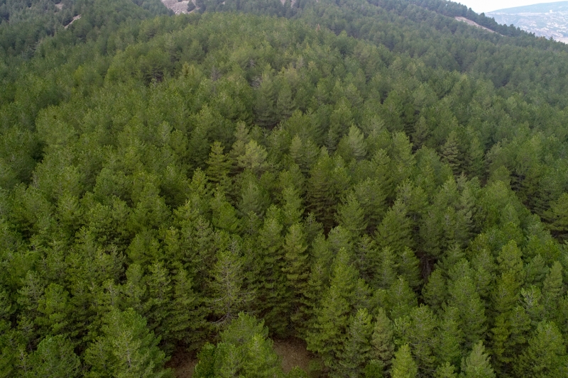 <p>Isparta'daki Gölcük Tabiat Parkı</p>