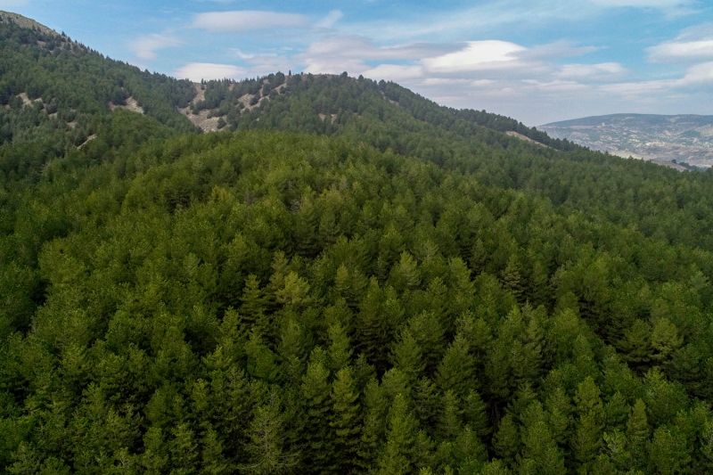 <p>Isparta'daki Gölcük Tabiat Parkı</p>