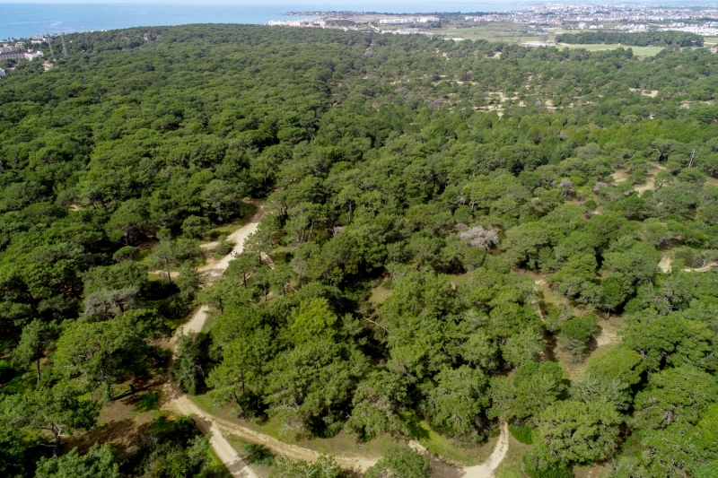 <p>Isparta'daki Gölcük Tabiat Parkı</p>