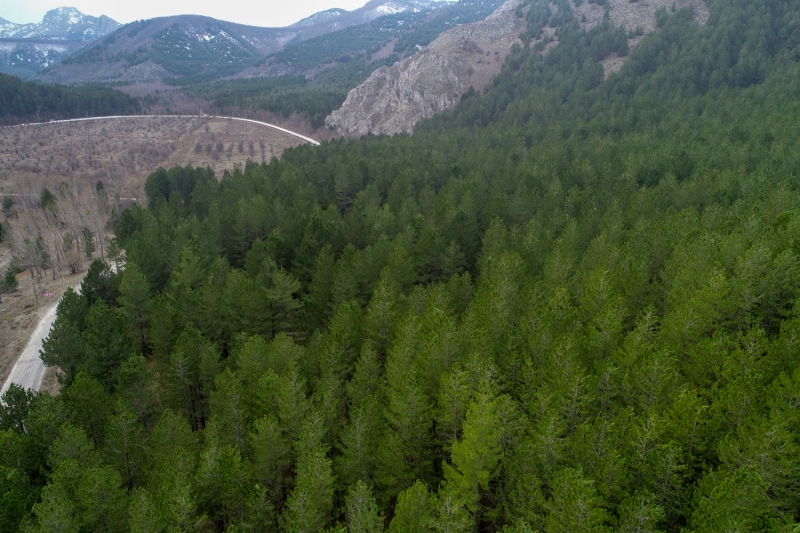 <p>Isparta'daki Gölcük Tabiat Parkı</p>