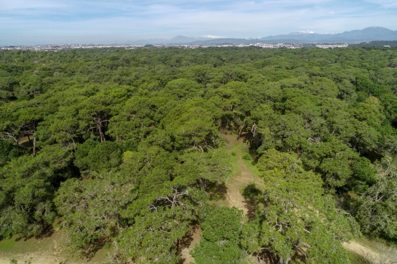 <p>Isparta'daki Gölcük Tabiat Parkı</p>