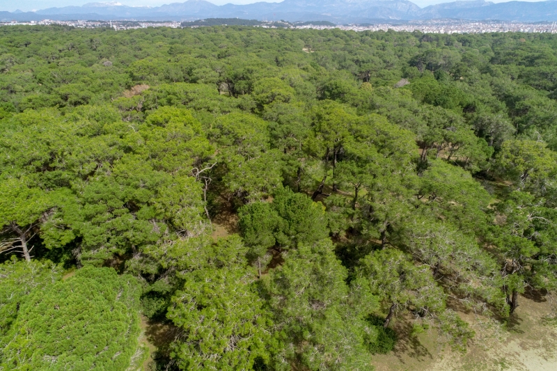<p>Isparta'daki Gölcük Tabiat Parkı</p>