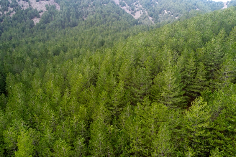 <p>Isparta'daki Gölcük Tabiat Parkı</p>