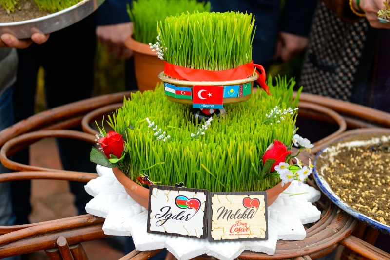 <p>Semeni, ekildiği birbirinden farklı kaplarda yılın toprakla buluşan ilk tohumları olma özelliğini taşıdığından nevruzun önemli simgeleri arasında yer alıyor.</p>
