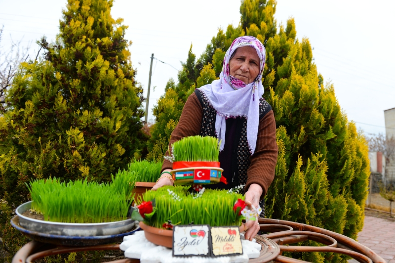 <p>Coşar, Iğdır'da da Türk dünyasında olduğu gibi nevruzun coşkuyla kutlandığını belirterek, 'Toprağın yeniden dirilişi olan semeniler, Nevruz Bayramı'na kısa bir süre kala ekilir. Toprağın yeniden dirilişinin sembolü olan semenileri ekiyoruz ki bir yıl boyunca bolluk ve bereket bizimle olsun.' diye konuştu. .</p>