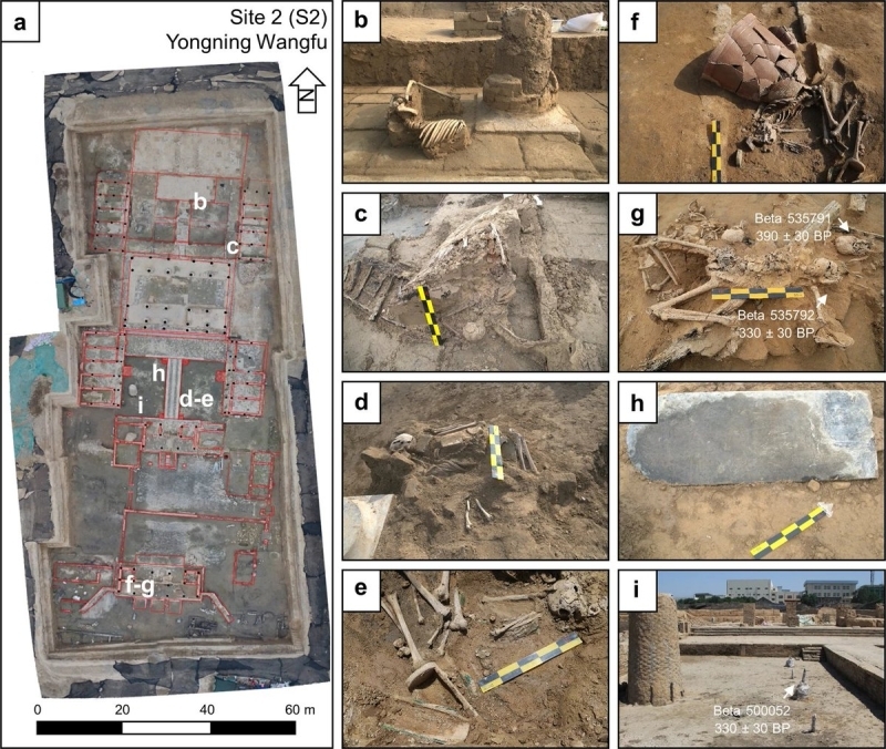 KEND� TUZAKLARINA D��T�LER <br> Bununla birlikte, �nceki sellerden farkl� olarak, bu do�al de�il insan m�dahalesinin oldu�u bir felaketti.