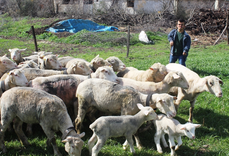 <p>Muhasebe blmn bitirmesine ramen dede meslei besicilii yapmann hayalini kuran ahin, KUR'un engellilerin kendi ilerini kurabilmeleri iin verdii hibeye bavurdu.</p>