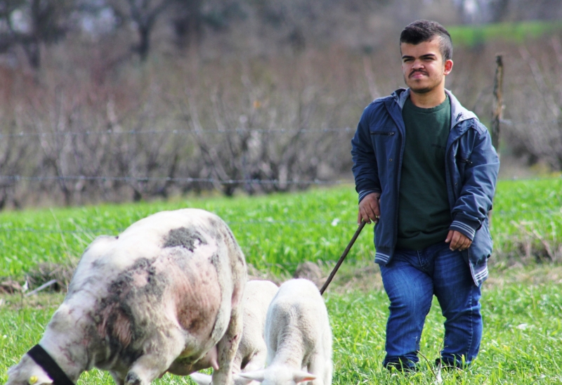 <p>KUR sayesinde hem hayalinin gerekletiini hem de aile btesine katk saladn aktaran ahin, bundan sonraki hedefinin, mandra kurmak olduunu belirtti.</p><p>ahin, kendi iini kurduktan sonra evlenmeyi de dnmeye baladn syledi.</p>