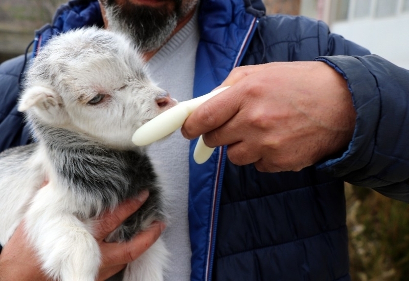 <p>Bir sre etrafa baknan Aydemir, yars yenmi kalan ksm da topraa gmlen keiyi ve k uykusundan uyanan aynn ayak izlerini grd.</p>