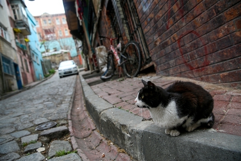 <p>Balat'ta sokaklar boş kaldı.</p>