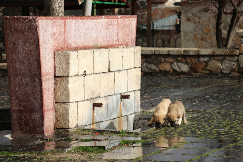 <p>Mahallenin; Harput Kalesi, Ulu Cami, türbeler, Meryem Ana Kilisesi, Buzluk Mağarası ve Ölbe Vadisi gibi tarihi yerlerinin yanı sıra kültürel ve doğal güzellikleri ile yılın her mevsiminde, özellikle hafta sonları ziyaretçi akınına uğradığını ifade eden Demirpolat, 'Günde binlerce insanı ağırlayan Harput'umuzda salgından dolayı hiç kimse yok. Biz bu anlamda devletin yapmış olduğu çağrılara uyarak duyarlılık gösteren herkese teşekkür ediyoruz. Geçen hafta günde giriş çıkış yapan araç sayısı 5-6 bin arasındaydı. Bugüne kadar böyle bir sessizlik yaşamamıştık.' diye konuştu.</p>