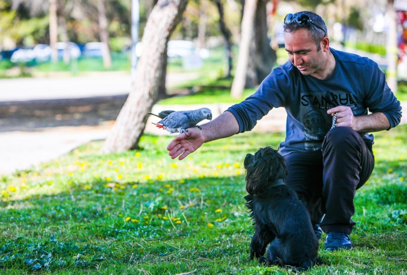 <p>Antalya'da evlerinde köpek besleyen vatandaşlar, köpeklerinin gündelik ihtiyacı için sabah ve akşam evlerinin çevresinde yürüyüşe çıkıyor. Lara bölgesinde restoran işletmeciliği yapan ve 15 gündür iş yerinin kapalı olduğunu söyleyen Talat Meşe, karantinaya her ayrıntısıyla uyduğunu belirtti.</p>