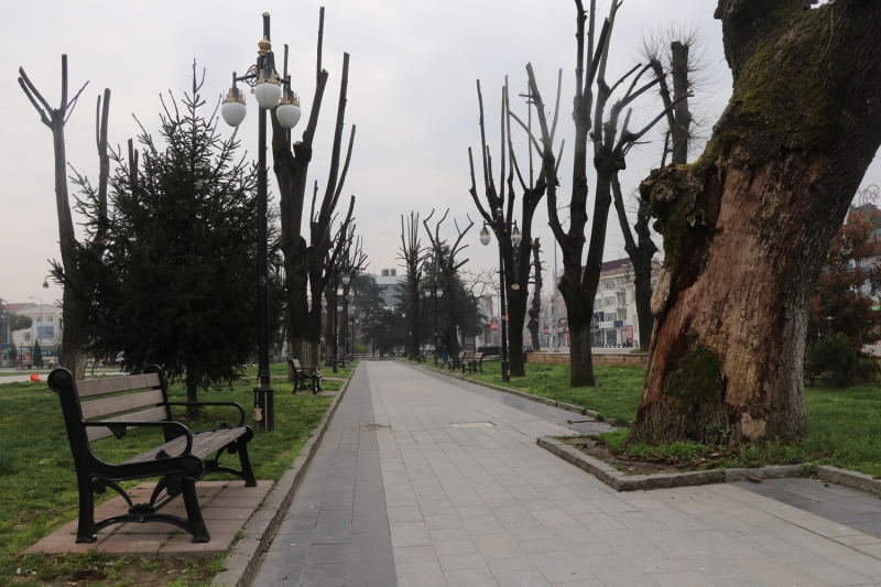 <p>Avni Akyol Park</p>