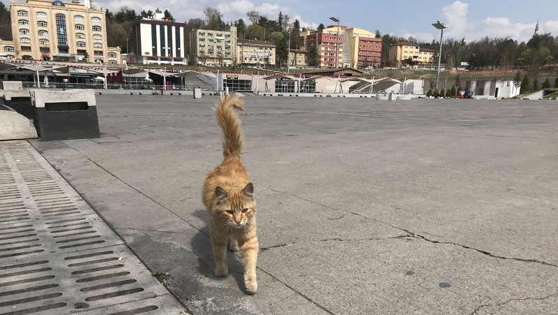 <p>Karabk Kent Meydan</p>