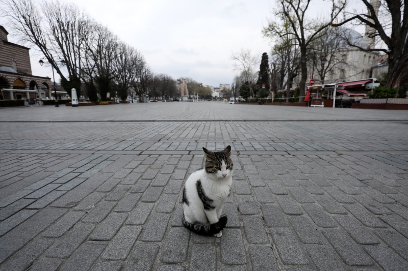 <p>Sultanahmet Meydan</p>