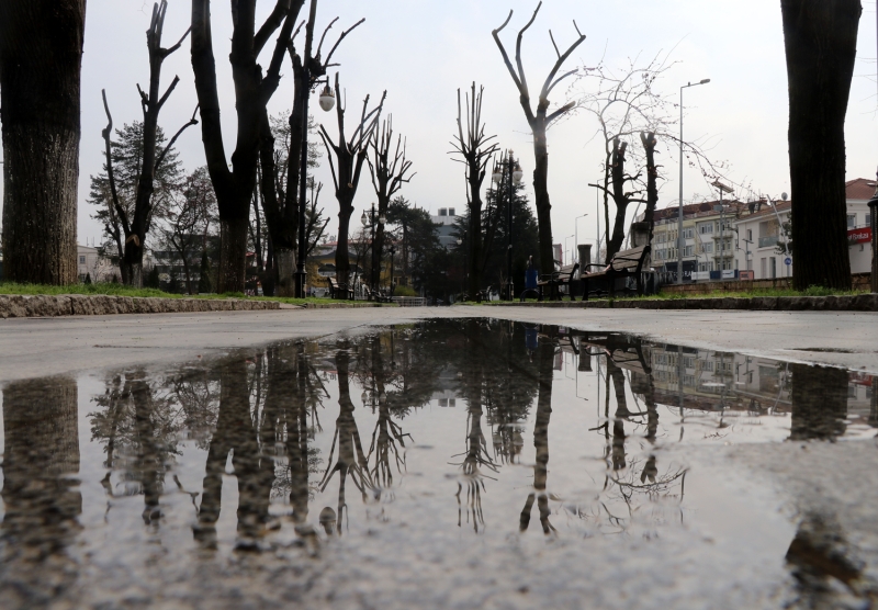 <p>Avni Akyol Park</p>