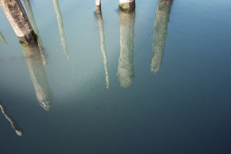 <p>Koronavirs salgn nedeniyle tenhalaan Venedik'te kanal sular temizlendi<br></p>