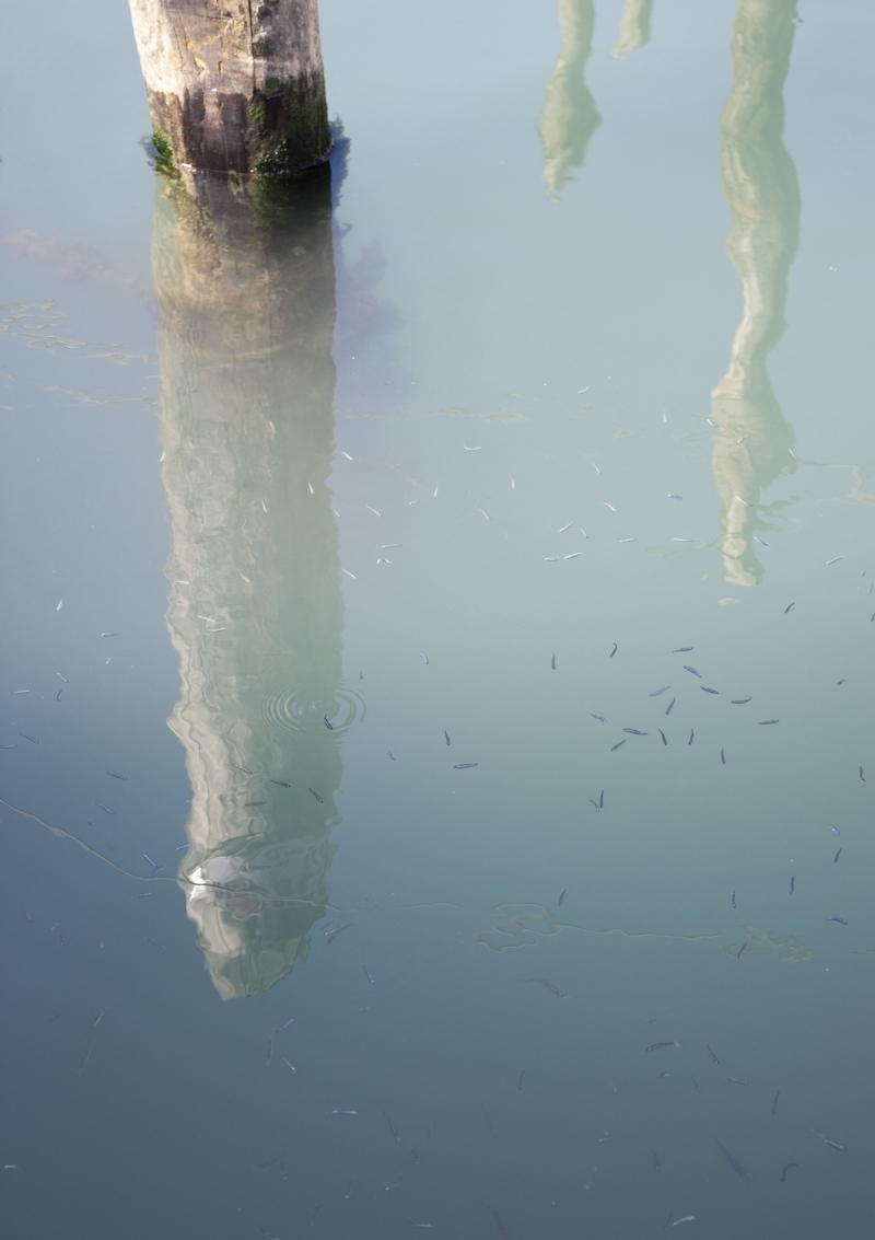 Koronavirs salgn nedeniyle tenhalaan Venedik'te kanal sular temizlendi