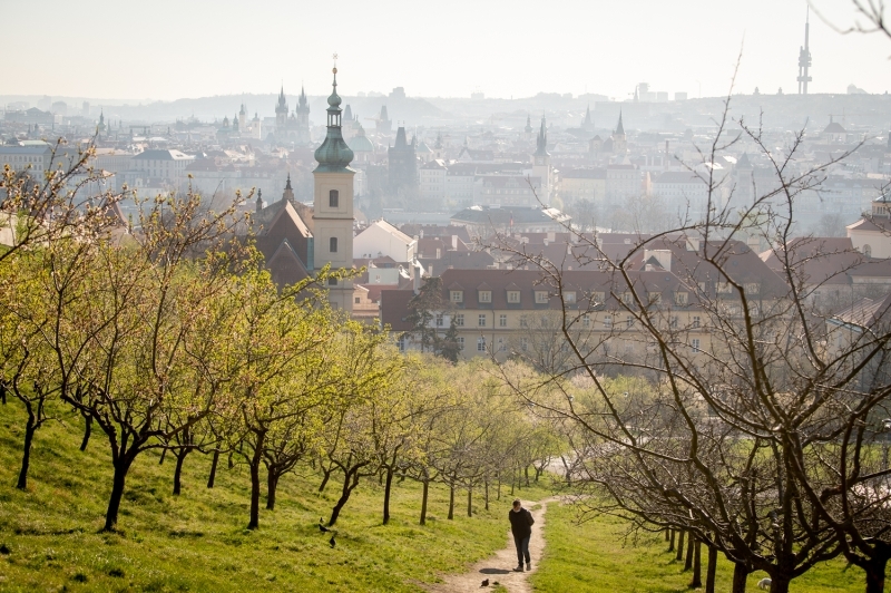 <p>Çekya'da Kovid-19 karantinası uzatıldı.</p>