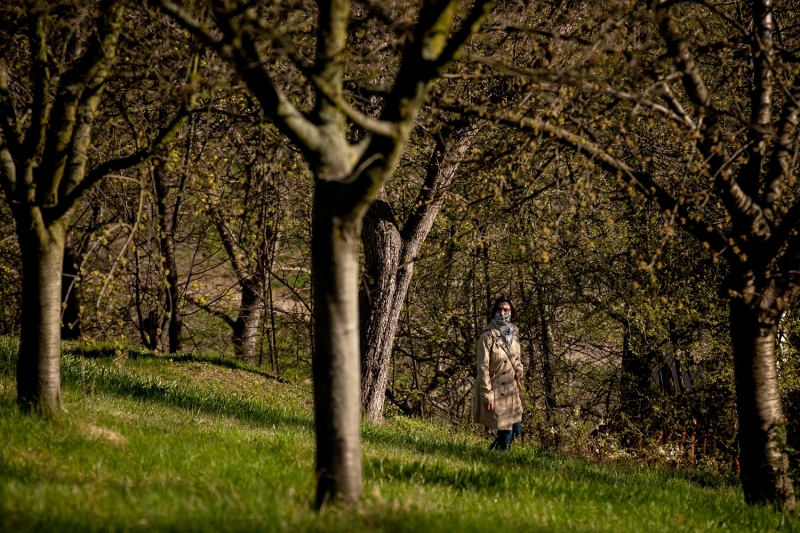 <p>Çekya'da Kovid-19 karantinası uzatıldı.</p>