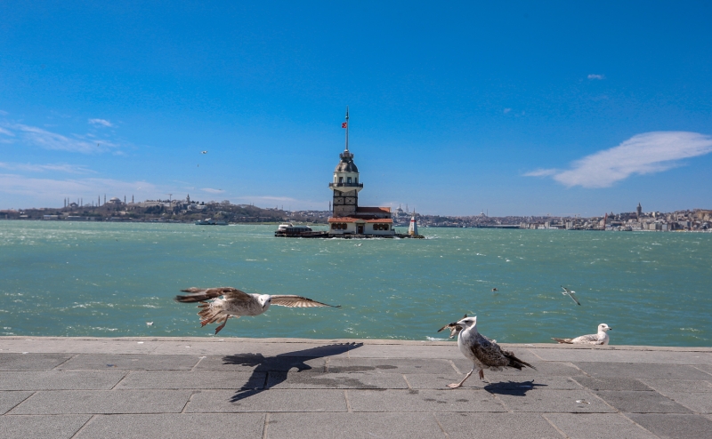 <p>İnsanların yokluğunda sahildeki kaldırımlara konan martılar, Kız Kulesi ve Tarihi Yarımada ile güzel görüntü oluşturdu.<br></p>