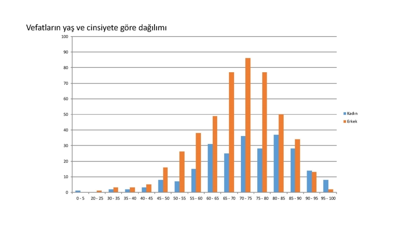 <p>Vefatlarn ya ve cinsiyete gre dalm</p>