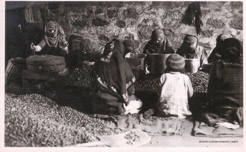 <p><b> - ÜRÜNÜN GELİŞTİRİLMESİ VE PAZARLANMASI</b><br></p><p><br></p><p><br></p><p>Fındık Araştırma İstasyonu, Ziraat Nezareti'ne bağlı olarak Karadeniz Bölgesi'nde fındık üretimini geliştirmek ve sorunlarına çözüm yolları bulmak amacıyla 1936 yılında Giresun'da 152 dekar arazi üzerinde 'Fındık İstasyonu' adı altında kuruldu.</p><p>Bugünkü Karadeniz Fındık ve Mamulleri İhracatçıları Birliği de 1940'ta, Türkiye Fındık İhracatçıları Birliği olarak merkezi Giresun'da olmak üzere faaliyete başladı.</p><p>Fındık Tanıtım Grubu ise 1996'da kurularak fındığın iç ve dış tüketimini artırmak için çeşitli çalışmalar yürüttü.</p>