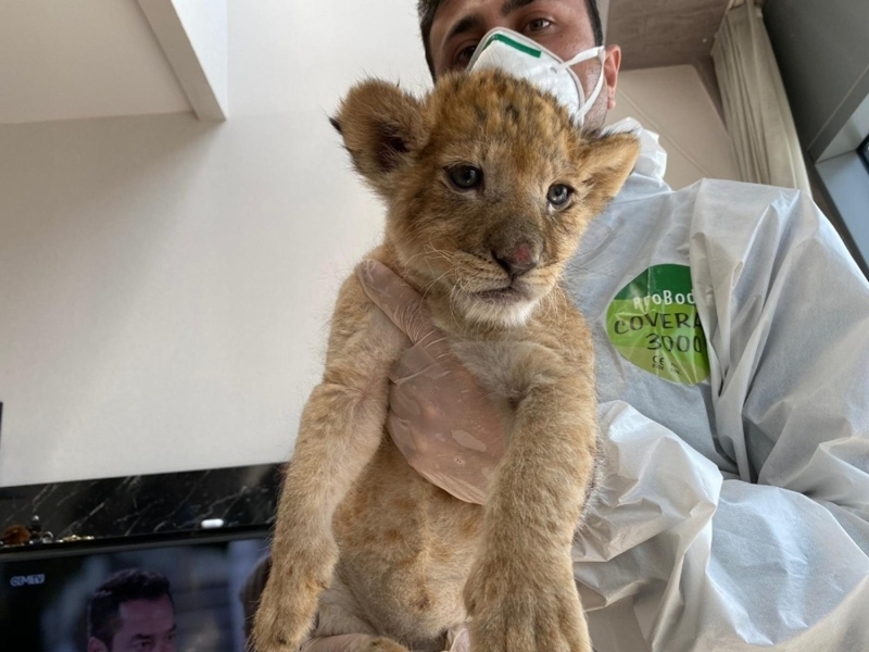 <p>Ka�ak��l�k polisi, Qazal Y., Mohammad Ali R. ve Kian M.’ye 5607 Say�l� Ka�ak��l�k Kanunu’na muhalefet su�undan i�lem yapt�.</p>