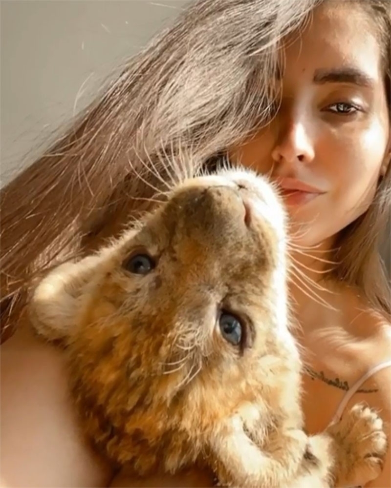 <p>Yakalanan �ranl�lar�n ise adli makamlarca serbest b�rak�ld��� ��renildi.</p>