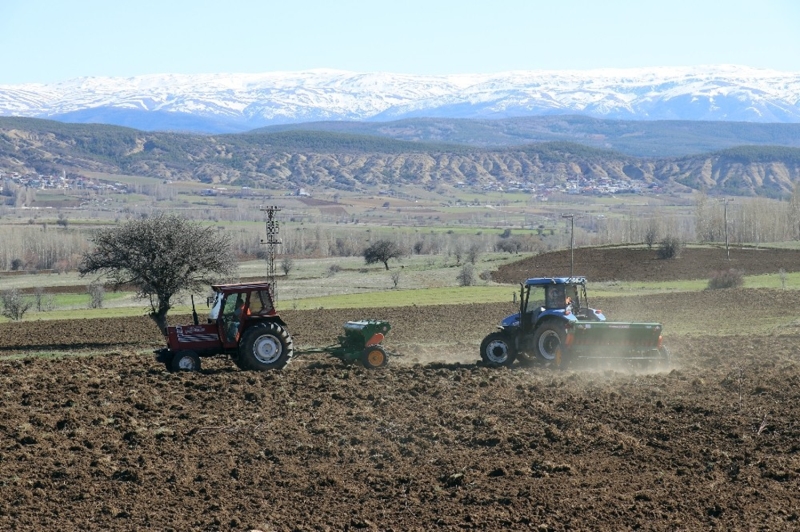 <p><b>“ARPA VE BUDAYDAN DAHA KARLI BR RN”</b><br></p><p>Kylerinde 20 yldr ekilmeyen arazileri Bakan Mutlu zel’in tevikleriyle bu yl ektiklerini kaydeden evren ky sakinlerinden Mehmet Polat (30) ise “Belediye Bakanmzn tevikleriyle biz bu ie girdik. Bu arazi 20 yla yakndr ekilmeyen bir araziydi. Biz bunu bu ekilde deerlendirdik. ok gzel bir proje oldu. Emei geen herkese teekkr ediyoruz. Burada daha nce denemesi yaplan ve gzel sonular alnan bir rn. Arpa ve budaydan daha karl bir rn. Su problemimiz de yok. Seneye daha fazla ekeceiz diye dnyoruz. Belediye firma ile anlaarak tohum ve gbre salad. Ekimi de 5 ayr makineyle Belediye yaptryor. Ayrca mazot destei de saladlar. Kendilerine teekkr ediyoruz” dedi. (HA)</p>