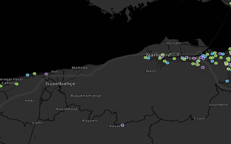 <p>zmir ileleri koronavirs vaka dalm</p>