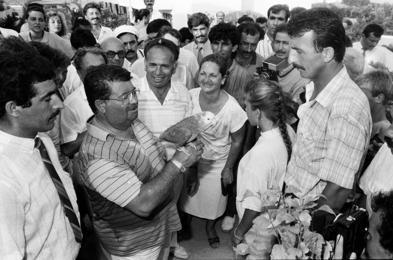 <p>�zal, siyasete ilk ad�m�n� 1977 genel se�imlerinde Milli Selamet Partisinden �zmir milletvekili aday� olarak att� ancak se�ilemedi.</p><p>Turgut �zal, 1979 sonlar�na do�ru Ba�bakanl�k M�ste�ar� olarak atand�. Ayn� d�nemde Devlet Planlama Te�kilat� (DPT) M�ste�arl��� g�revini de vekaleten y�r�ten �zal, bu �zelli�iyle hem DPT M�ste�arl��� hem de Ba�bakanl�k M�ste�arl��� yapm�� T�rkiye'nin tek ba�bakan� ve cumhurba�kan� oldu.</p>