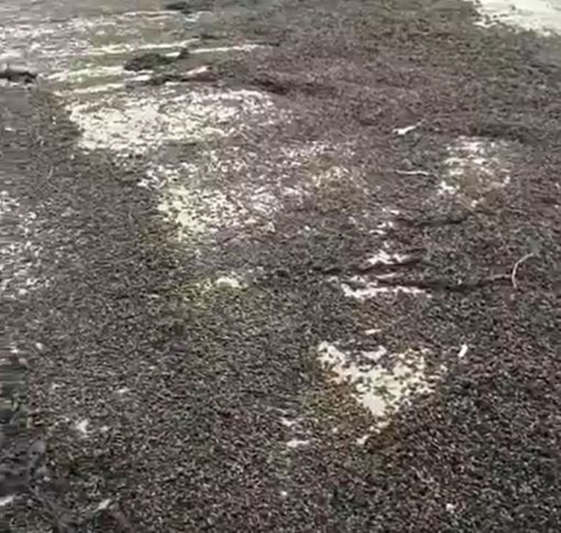 <p>Wetherill, ektii grntleri sosyal medya hesabndan u notla paylat:</p><p>'Egzersizimi yapyordum ve sahil boyunca yrdm...</p>