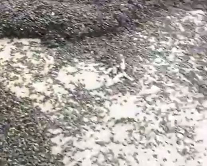 <p>Wetherill, Facebook hesabna resim gnderdikten sonra, baka kullanclarn da kyda benzer manzaralara tank olduklarn yazdklarn syledi.</p>