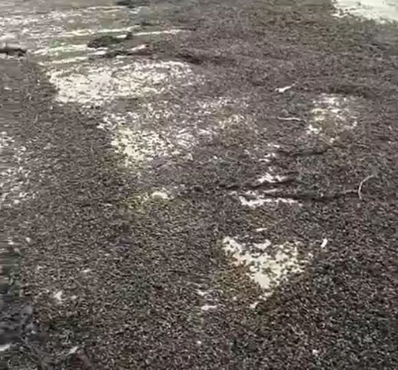 <p>Son olarak bir esrarengiz haber de Avrupa kylarndan geldi.</p>