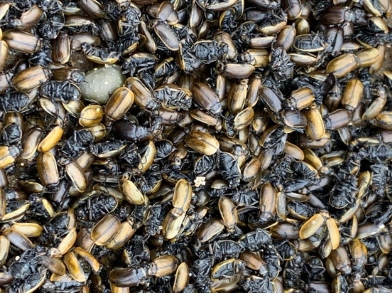 <p>Ilktan tekrar soua getik Bu da olayn gereklemesine neden olmu olabilir.' dedi.</p>