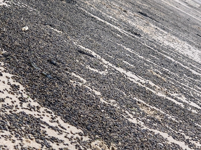 <p>Yetkililerden yaplan aklamada, olayn asl nedeninin aratrld belirtildi.</p>