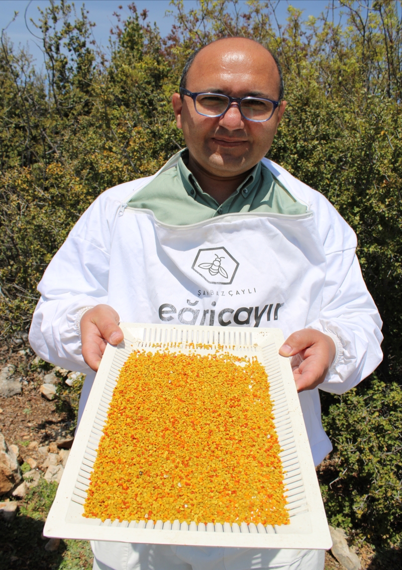 <p>Çay, polenin insan sağlığına olumlu yönde katkısı olduğunu ve bu nedenle oldukça talep gördüğünü belirtti.</p>