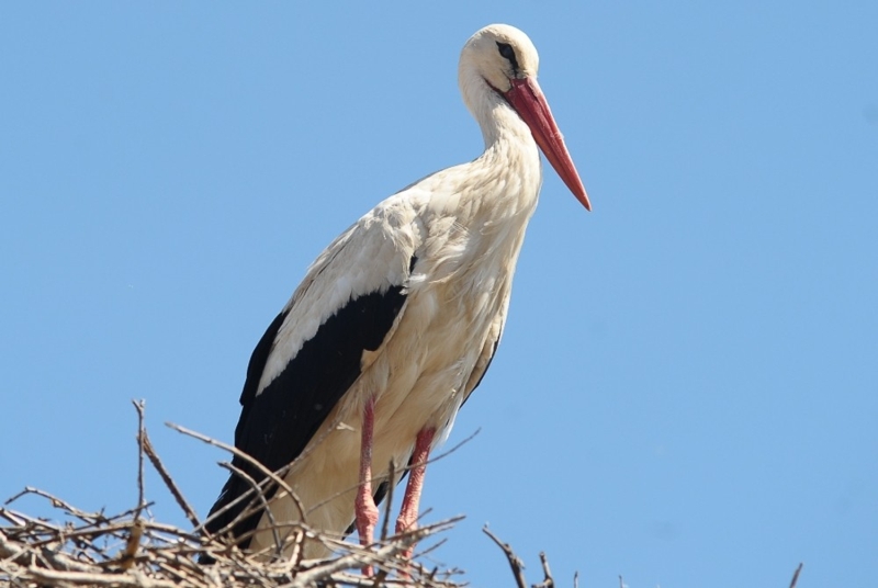 <p>Maske ve dezenfektan hediye eden Başkan Özkan, Adem Amca’nın talebini de yerine getirerek kayık bağlama kütüğü üzerinden Adem Amca’nın kayığının adını değiştirdi. Adem Amca’nın balıkçı kayığının adı resmen ‘Yaren’ olurken, Yaren yazılı tabelayı da Başkan Özkan, Adem Yılmaz’a takdim etti.</p>