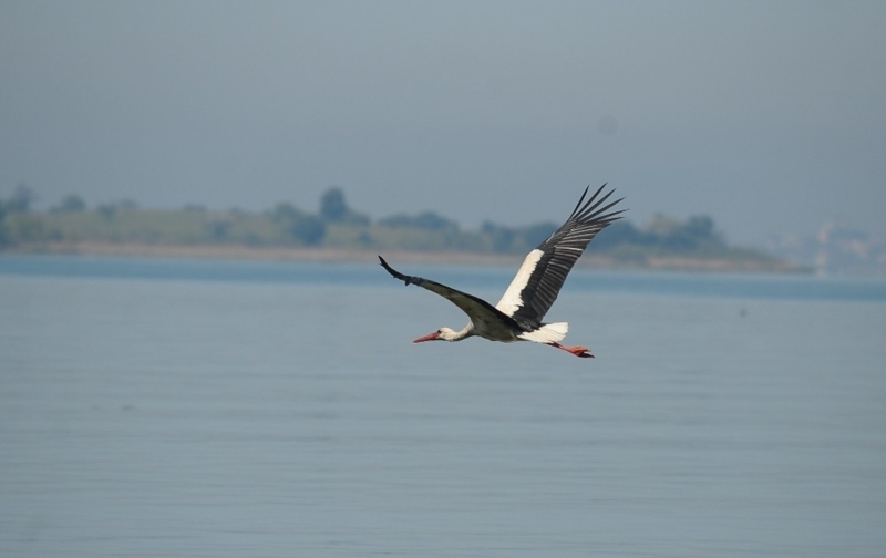 <p>Karacabey Belediye Başkanı Ali Özkan, “Karacabey Eskikarağaç Köyü’nde geçen Yaren Leylek ile Adem Amca’nın hikayesi Uluslararası Prag Film Festivali’nde birinci oldu. Bu hikaye dolayısıyla Eskikaraağaç Köyü Türkiye’nin gündemine girdi. Şu an bildiğiniz gibi tüm Türkiye’de hatta dünyada korona virüsü ile ilgili küresel bir mücadele gerçekleştiriliyor. Bu çerçevede de çeşitli önlemler alınıyor.</p>