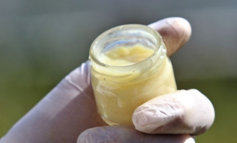 <p>Arı sütünün bağışıklık sistemini güçlendirdiğini belirten Mehmet Durgut,</p>