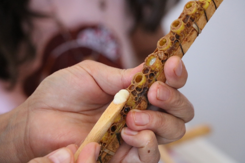 <p>Arı sütü çok zengin bir madde olup, muhtevâsında protein, karbonhidrat, yağların yanı sıra vitaminler B3, B6, B1, B2, pantotenik asit, folik asit, biotin, mineral maddeler potasyum, kalsiyum, magnezyum, çinko, demir, bakır, fenolik maddeler, aminoasitler, yağ asitleri, organik asitler bulunuyor.</p>