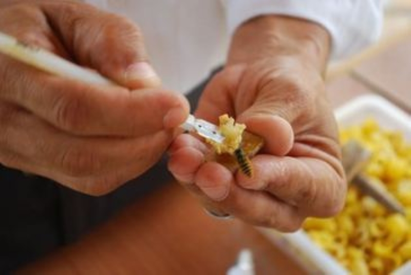 <p>Koronavirüs sebebiyle bu yıl arı sütüne büyük talep var. Kilosu pahalı olmasına rağmen stoklarını tüketen arıcılar bir kaç ay sonra üreteceği arı sütü siparişini de almış bulunuyor.</p>