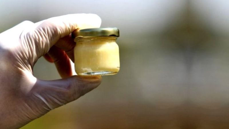 <p>Normal arı 42 gün yaşarken, arı sütüyle beslenen ana arı 7 yıl yaşıyor. Çok kuvvetli bir ürün. Arı sütünü gram gram sağıp kilosunu 7 bin liraya satıyoruz. Nisanda başlayan hasat ağustos ayına kadar devam ediyor' şeklinde konuştu.</p>