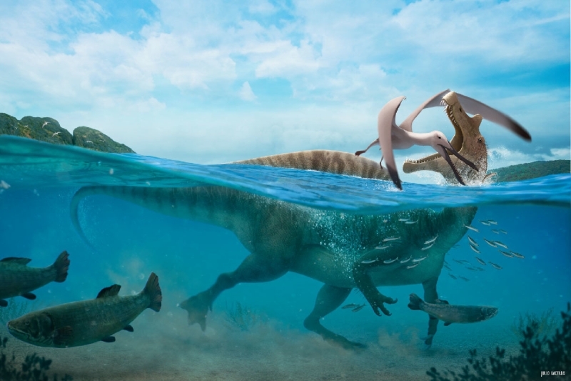 Portsmouth �niversitesi'nden ve �al��man�n yazarlar�ndan Profes�r David Martill'in a��klad��� gibi, bu y�rt�c� hayvanlar�n �o�u, beslenme i�in b�lgedeki bal�k bollu�una g�veniyordu.