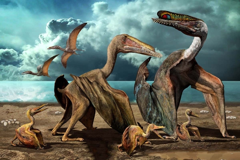 Bu b�lgenin di�er sakinleri aras�nda 'y�rt�c� u�an s�r�ngenler (pterosaur)' ve 'timsah benzeri avc�lar' da vard�.
