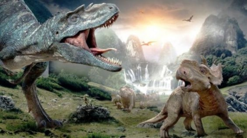 <p>�zellikle insanlar a��s�ndan bakt���n�zda, bu d�nyan�n bir insan i�in pek de misafirperver bir yer oldu�u s�ylenemez.<br></p>