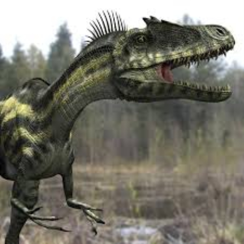 A��klamaya g�re, s�z konusu alanda 100 milyon y�l �nce 'k�l�� di�li Carcharodontosaurus ve Deltadromeus ya��yordu.�