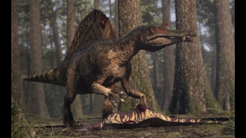 <p>Profes�r Martill ayr�ca, �al��malar�n� 'neredeyse asr�n Sahra'daki fosil omurgal�lar �zerinde en kapsaml� �al��mas�' olarak nitelendirdi.�</p>