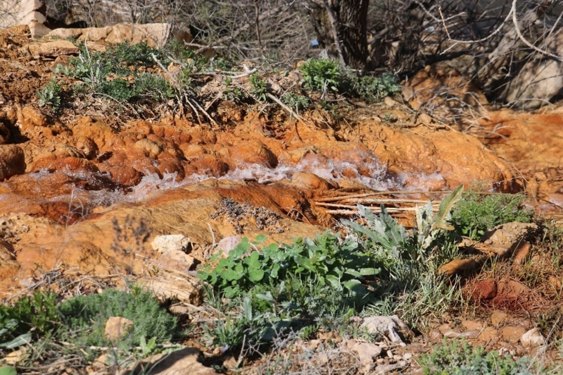 <p>Sivas Valiliğimizden ve Belediye Başkanlığımızdan, buranın zaten Sıcak Çermik tarafından gelen Yıldız Dağı bağlantı yoluna yakınlığı var. Buranın ileriye dönük değerlendirilmesini istiyorum” dedi.</p>